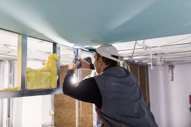 Best Attic Insulation Installation  in Glenmora, LA