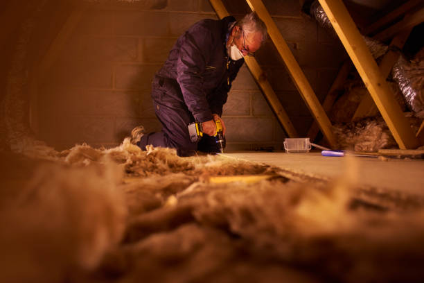 Best Home Insulation Services  in Glenmora, LA